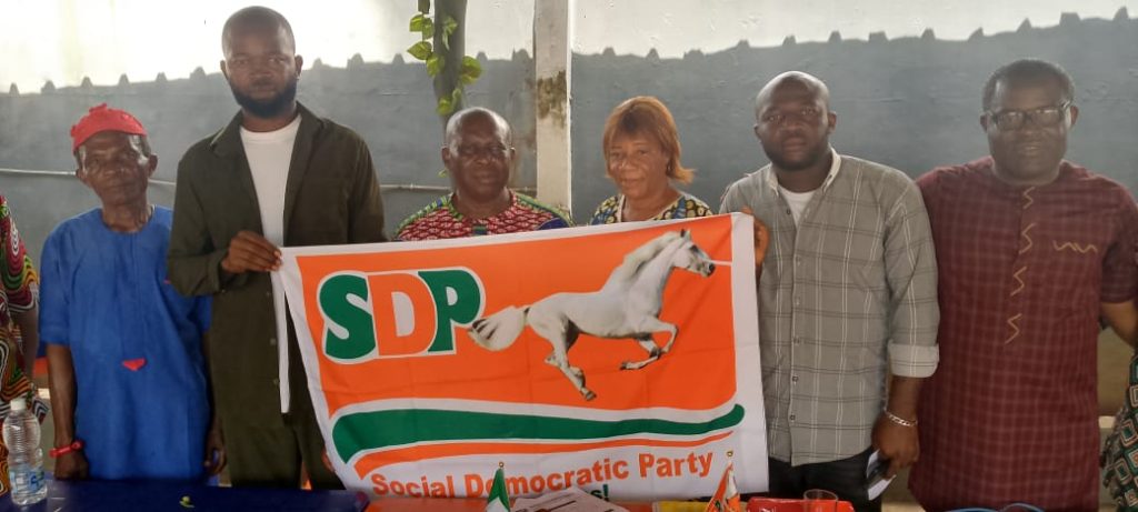 Party executives in Nigeria during leadership announcement