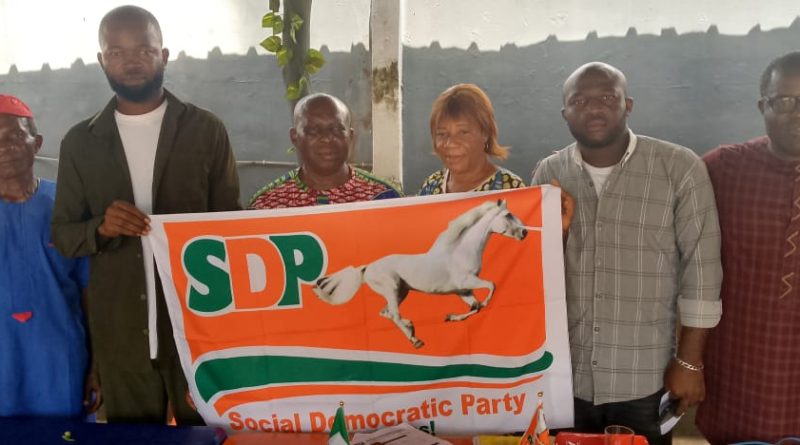 Party executives in Nigeria during leadership announcement