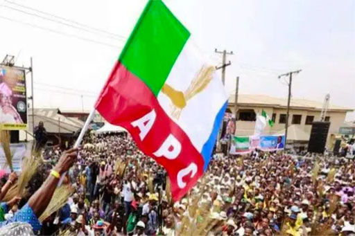 APC members during 2027 senatorial primary elections